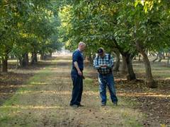 
      
      California Walnuts: The Fresh Crop Has Arrived in India = Wellnes
      
      