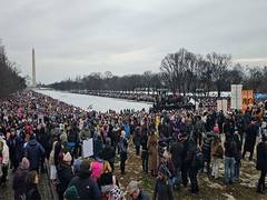 
      
      Protesters gather in Washington DC to oppose Trump
      
      