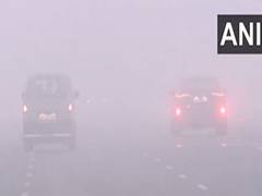 
      
      Dense fog engulfs Delhi-NCR, disrupts train services 
      
      