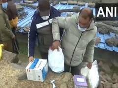 
      
      Officials confirm screening of 9000-10000 houses amid scare
      
      
