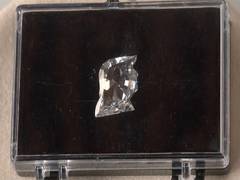 
      
      Mumbai-based Green Labs crafts unique Donald Trump-shaped diamond
      
      