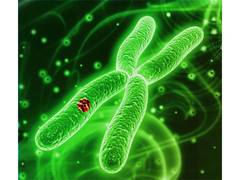 
      
      Datar Cancer Genetics announces the launch of Target-MRD
      
      