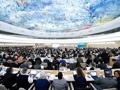 
      
      UN human rights experts urge China to address human rights
      
      
