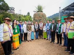 
      
      Arunachal Pradesh to get GI registration for Bagra Pineapple
      
      