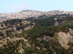 
      
      Israeli town renames planned neighborhood after Trump
      
      