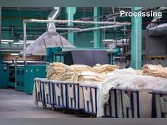 
      
      Anjani Synthetics Reports Resilient Performance
      
      