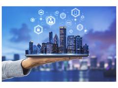 
      
      Digital Skills in the Built Environment Sector
      
      