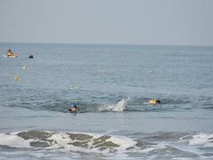 
      
      Over 200 swimmers gear up for Den Den 2025 Sea Swimming C'ship
      
      