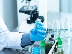 
      
      New drug may help restoring vision
      
      
