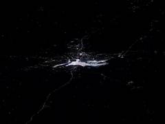 
      
      NASA astronaut captures 2025 Maha Kumbh Mela from ISS
      
      