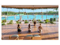 
      
      Champion Lagoons x Health.fit: Redefining Wellness
      
      