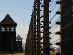 
      
      Memorial service to mark 80 years since liberation of Auschwitz
      
      