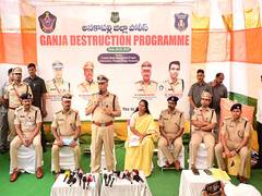 
      
      Anakapalle Police destroying 35,000 kg of ganja: DGP
      
      