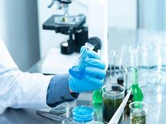 
      
      White blood cell count may predict severity of COVID-19: Study 
      
      