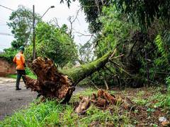 
      
      Natural disasters, climate change have long-term impact: IIT 
      
      