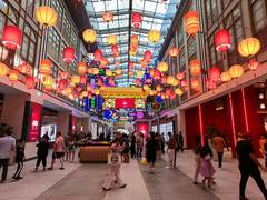 
      
      UAE marks Chinese New Year 
      
      
