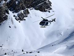 
      
      Five skiers killed in French Alps avalanches
      
      