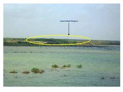 
      
      Village in Kutch is now Gujarat’s 1st 'Biodiversity Heritage Site
      
      