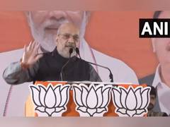 
      
      AAP opened liquor shops near schools, temples: Amit Shah
      
      