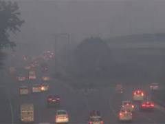 
      
      Fog engulfs Delhi as mercury dips to 10.8 °C 
      
      