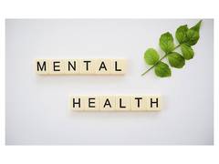 
      
      Eco survey asks to prioritise mental health 
      
      