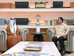
      
      UAE, Indonesia review consolidating cooperation across various fi
      
      