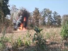 
      
      Chhattisgarh: 25 kg IED destroyed by BDS team in Bijapur
      
      