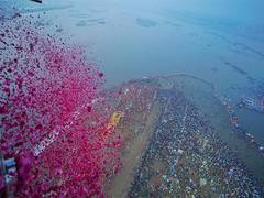 
      
      Maha Kumbh: Flowers showered on saints and seers during Amrit Sna
      
      