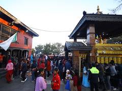 
      
      Basanta Panchami: Start of spring festival, educational life
      
      