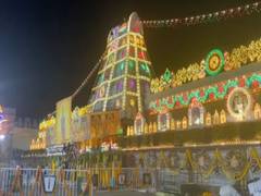 
      
      Tirumala radiates with light, floral decor for 'Ratha Saptami' 
      
      