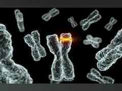 
      
      Datar Cancer Genetics Unveils Exacta AI
      
      