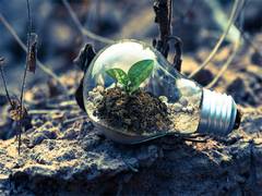 
      
      Welspun New Energy commits Rs 13,500 crore projects in Odisha
      
      
