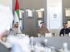 
      
      Mansour bin Zayed chairs Ministerial Development Council meeting
      
      