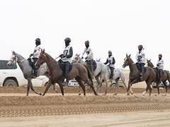 
      
      UAE President's Endurance Cup to commence tomorrow 
      
      