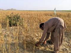 
      
      Balochistan farmers reject 35 pc tax on agricultural production
      
      