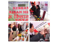 
      
      J-K Sericulture Development Department organises Mela
      
      