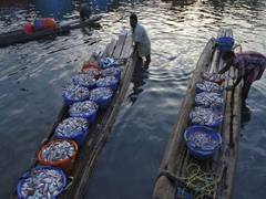 
      
      14 fishermen held by Sri Lankan Navy
      
      