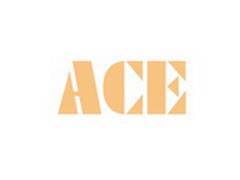 
      
      ACE Posts Robust Q3 FY25 – Total Income Up by 16.6 Percent YoY 
      
      