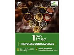 
      
      India Pulses and Grains Association (IPGA) 
      
      