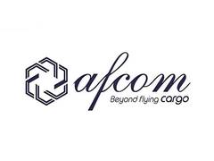 
      
      TT Group and AFCOM Cargo Strengthen 
      
      