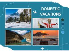 
      
      Travelmaddy: Your Trusted Partner
      
      