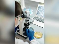 
      
      Researchers discover new type of Brain cells
      
      