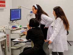 
      
       How brain trauma triggers Alzheimer's disease
      
      