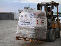 
      
      UAE delivers 10 aid convoys to Gaza
      
      