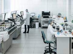 
      
      New insights into Alzheimer's brain inflammation: Study 
      
      
