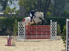 
      
      Tejas Dhingra retains National Championship Title 
      
      