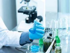 
      
      COVID-19 severity may be predicted by White Blood Cell Count
      
      