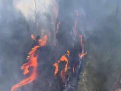 
      
      J-K: Fire breaks out in forest area of Udhampur 
      
      