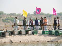 
      
      CM releases 10 crocodiles in National Chambal Gharial Sanctuary
      
      