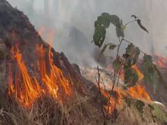 
      
      J-K: Fire breaks out in Soil Conversion Clouser of Udhampur
      
      